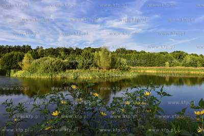 Gdansk. Park Reagana 29.08.2015 fot. Jan Harb Sieminski...