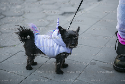 Gdańsk. Parafia NMP Matki Kościoła i św. Katarzyny...