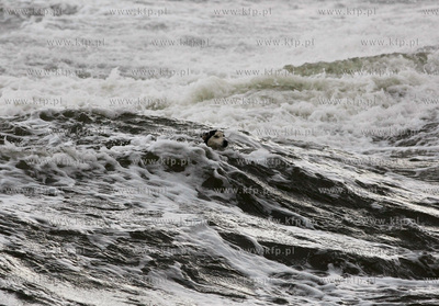 Gdynia. Bulwar nadmorski. Sztorm na Zatoce Gdanskiej....