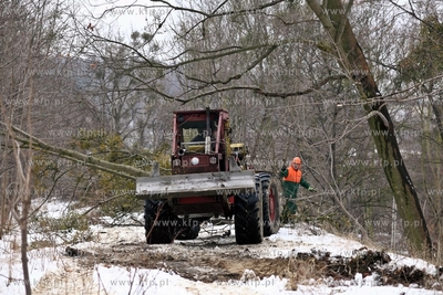 Wycinka drzew pod budowe trasy Pomorskiejpomorks Kolei...