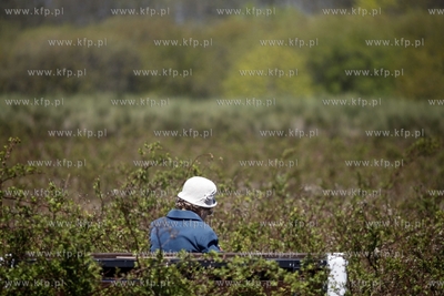 Gdansk. Park Reagana. 06.05.2013 fot. Krzysztof Mystkowski...