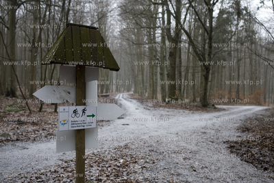 Trójmiejski Park Krajobrazowy. Szlak niebieski, Wielka...