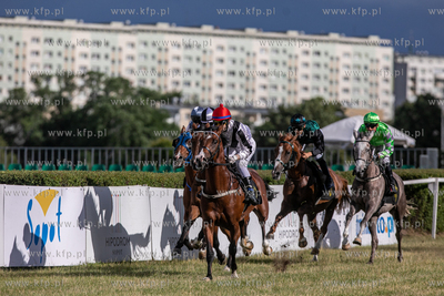 Sopocki Hipodrom. Wyścigi konne. Gonitwa o
Puchar...