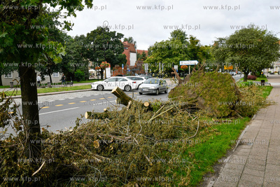 Zwalone drzewo po nawałnicy na Podwalu Staromiejskim...