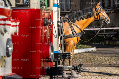 Dzień otwarty z zabytkowymi tramwajami w Zajedni Nowy...