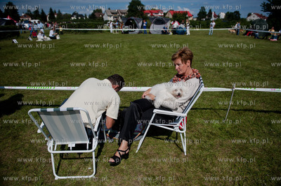 Sopot. Hipodrom. XX Miedzynarodowa Wystawa Psow Rasowych.
12.08.2012
fot....