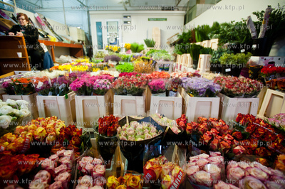 Gdansk. Giełda kwiatowa Dick Inter.
08.03.2013
fot....