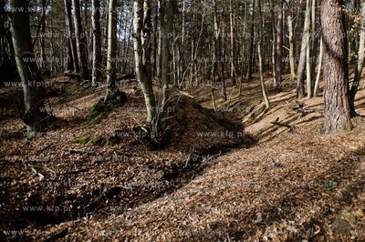 Gdansk. Oliwa, Trojmiejski Park Krajobrazowy. Sciezka...
