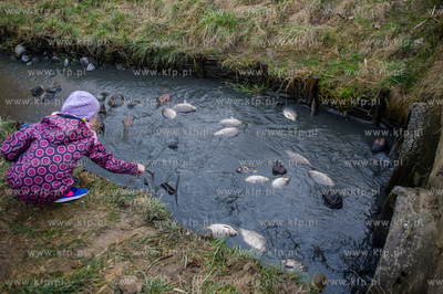 Gdansk. Pracowinicy Gdanskich melioracji oproznili...