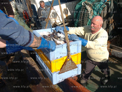 Ustka port, rozladunek zlowinych ryb z kutra Ust-122.
12.05.2009...