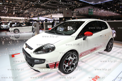 Targi motoryzacyjne w Genewie. Nz. Punto Evo
03.03.2010
fot....