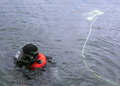 Dzien Eko Nurkowy zorganizowany w Gdyni zgromadzil...