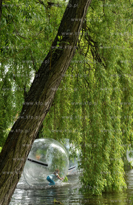 XV Wielki Festyn Rodzinny z okazji Dnia Dziecka w Parku...