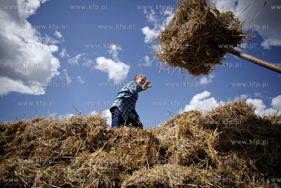 Rolnicy zbieraja slome na polu w Sztumie.
09.08.2012
fot....