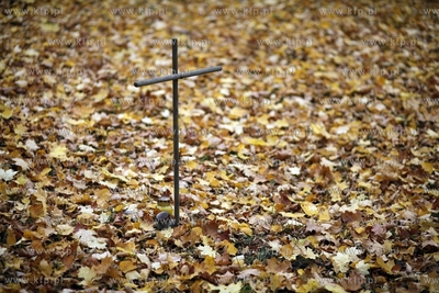 Gdynia Kolibki. Cmentarz.
24.10.2012
fot. Krzysztof...