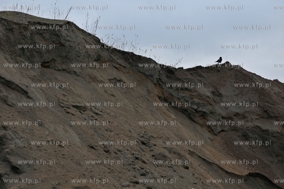 Znika hałda kruszywa z placu u zbiegu ul. Marynarki...