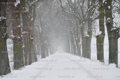 Zima na Żuławach.  Zaśniezone drogi. 16.01.2021...