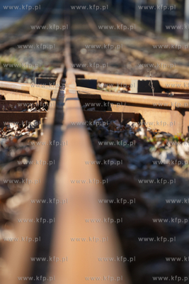 Pordzewiałe szyny tramwajowe na Stogach, po których...