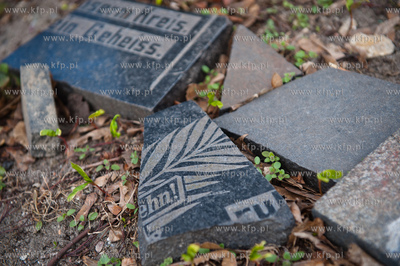 Gdansk. Teren bylego cmentarza ewngelickiego w Ujescisku,...