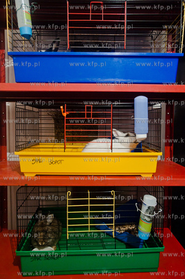 Sopockie Uszakowo - Centrum Adopcyjne Krolikow.
29.03.2013
fot....