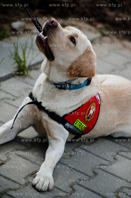 Gdansk Oliwa. Jednostka Strazy Pozarnej przy ul. Beniowskiego....