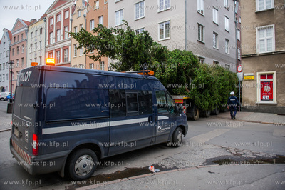 Gdansk. Dlugi Targ. Operacja stawiania swiatecznej...