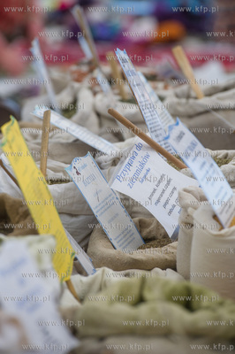 Gdynia. Skwer Arki Gdynia. Majowka przy Bulwarze, podczas...