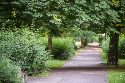 Gdańsk. Park Akademicki. 17.07.2017 fot. Mateusz Ochocki...