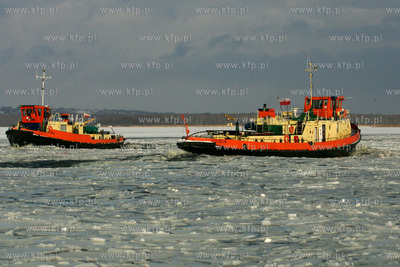 Szczecin. Wspolna akcja polskich ( Dzik, Lis, Swistak...