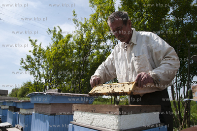Pszczelarz pan Kazimierz Stosik podczas wiosennych...