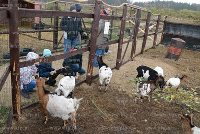 11.11.2013 o godz. 11:11 otwarto ZOO FARME W Debogorzu,...