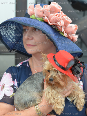 Konkurs Modowy na najlepszy kapelusz rozganizowany...