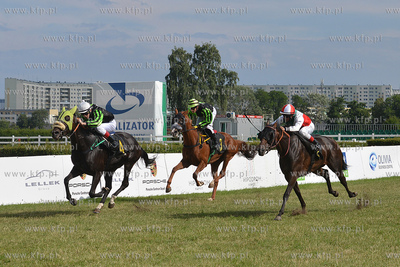Wyscigi konne na sopockim Hipodromie. 17.07.2016 fot....
