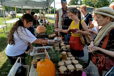 Park Jordanowski, ul. Wyzwolenia i Wladyslawa IV. Cud...