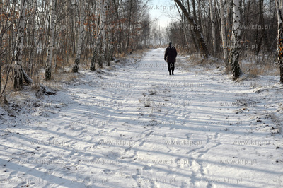 Gdansk Nowy Port. Tereny Szanca Zachodniego pomiedzy...