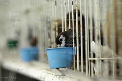 Gdansk. Międzynarodowe Targi Gdańskie. Bałtycka...