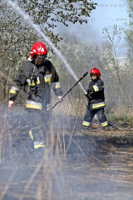 Pozar laki na wysokosci ul. Szklana Huta w Gdanskiej...