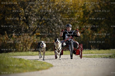 Gdańsk. Park Reagana. Pucharu Polski Psich Zaprzęgów...