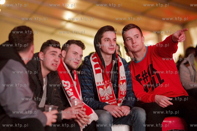 Mistrzostwa Europy w piłce ręcznej. Kibice oglądają...