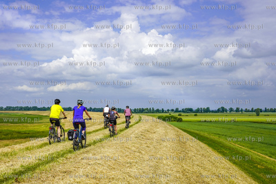 Rowerem po wale przeciwpowodziowym w okolicy Lisewa...