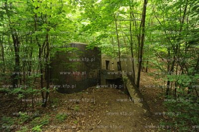 11 Bateria Artylerii Stalej w Gdyni Redlowie zbudowana...