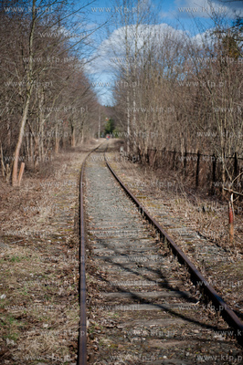 Lapino. Edukacyjny projekt Pomorze'45 przygotowany...