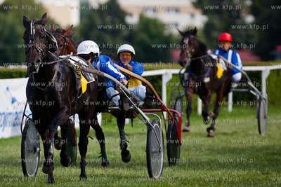 Wyscigi konne na sopockim hipodromie.
Nz wyscig klusakow
14.07.2013
fot....