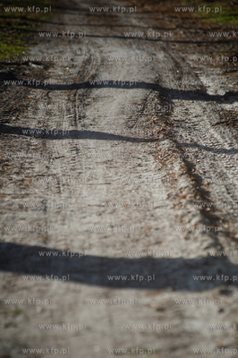 Gdansk. Oliwa, Trojmiejski Park Krajobrazowy. Sciezka...