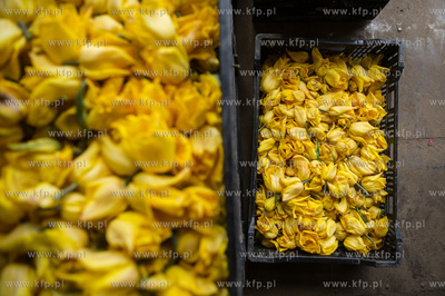 Mokry Dwor. Przygotowania do kolejnej edycji imprezy...