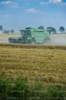 Powiat Koscierski. Kombajn podczas zniw. 
04.08.2015
fot....