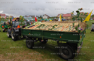 Dozynki Gminne w Kosakowie. Nz. Przedstawiciel wchodzacych...