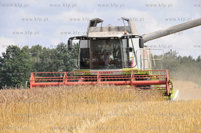 Zniwa w okolicy Pelplina
07.08.2009
fot. Krzysztof...