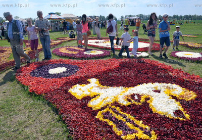 Zulawski Tulipan -  piata edycja imprezy zorganizowanej...