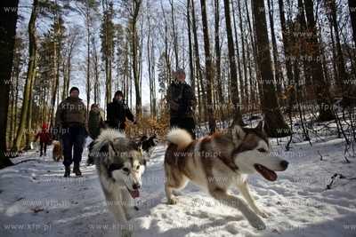 Sopot. Borodziej. Zawody dogtrekkingu - inauguracja...